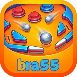 bra55